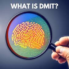 what is dmit